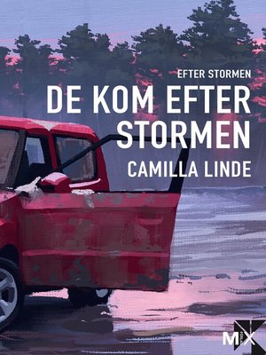 cover image of De kom efter stormen